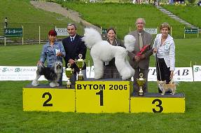 NVP Bytom 2006, PL (foto 3)