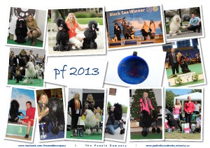 pf2013-fullres.jpg